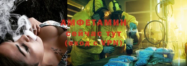 винт Алзамай