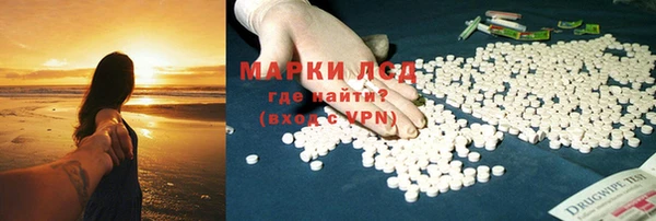 ГАЛЛЮЦИНОГЕННЫЕ ГРИБЫ Алексин