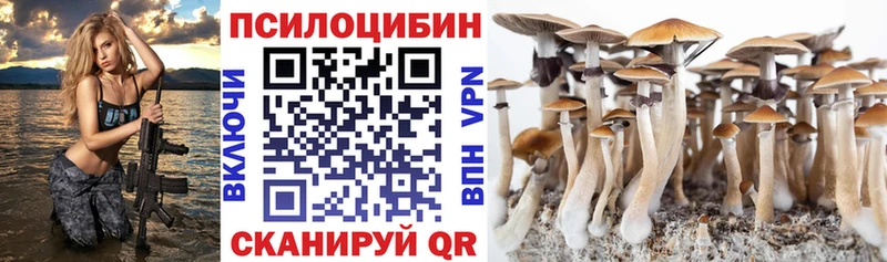 Галлюциногенные грибы GOLDEN TEACHER  Купить закладки  Чаплыгин 